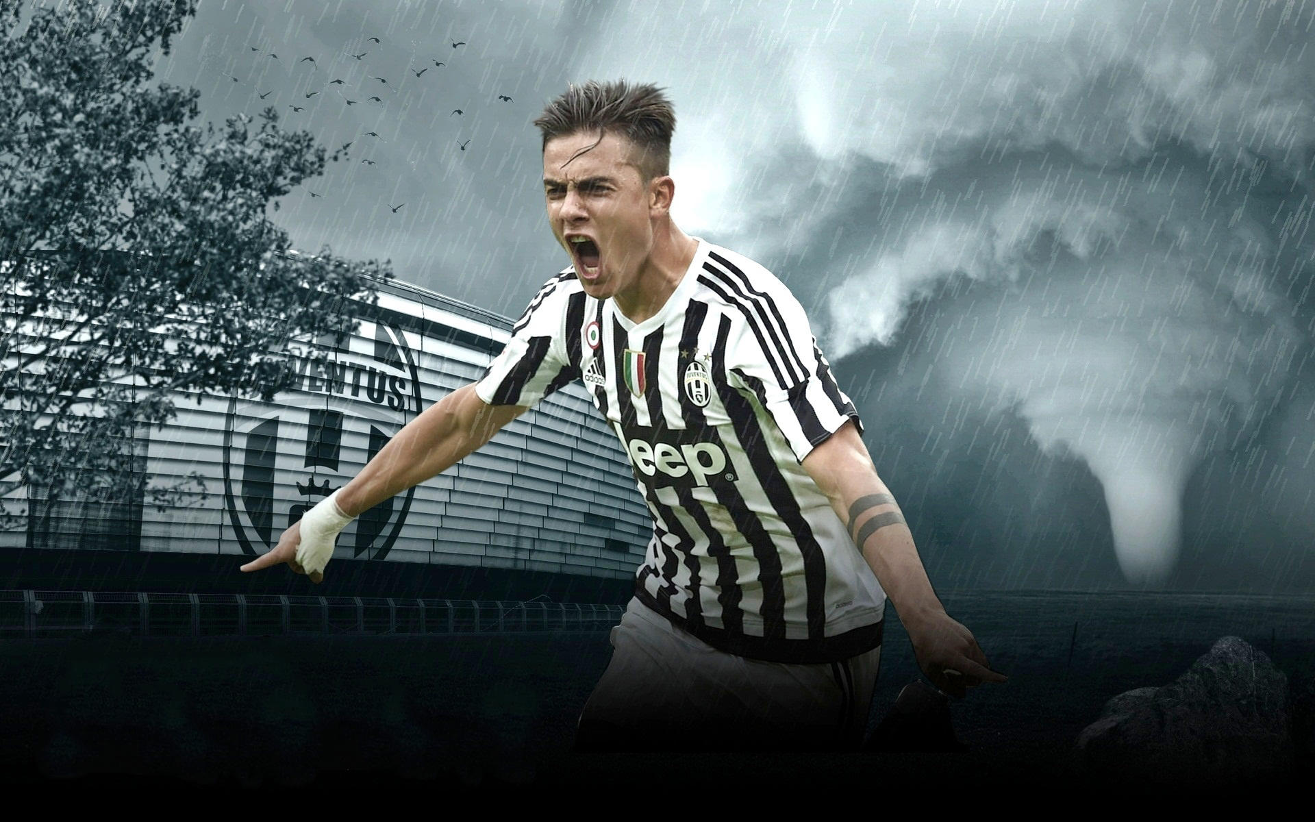 20支世界劲旅南山挥桨，2025大沙河赛艇邀请赛圆满收官（二十支世界强队挥桨南山，2025大沙河赛艇邀请赛圆满落幕）